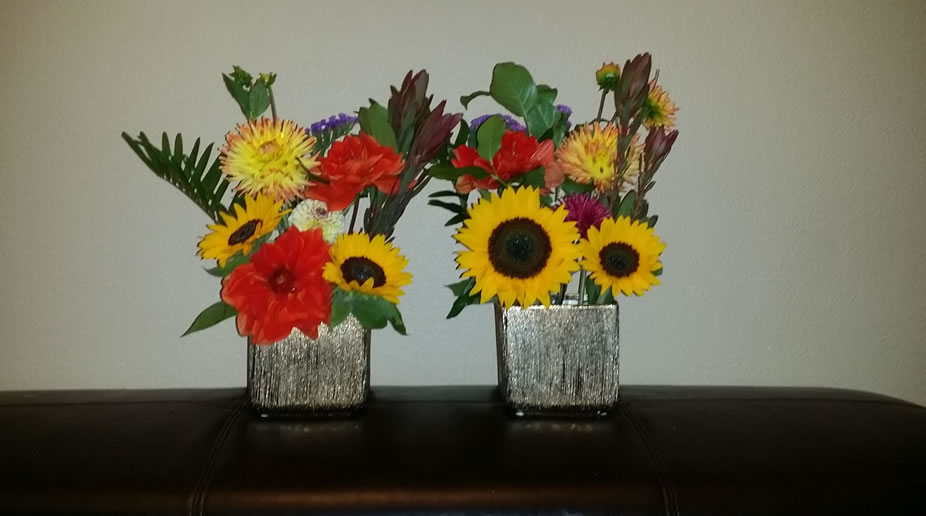 Sunflower Red Dahlia Purple Statice Petra Leucadendron